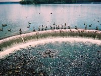 photos 2000-200901569